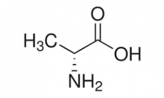 D-Alanine  CAS:338-69-2 98.5%～101.0%