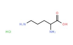 DL-Ornithine Monohydrochloride  CAS:1069-31-4 98.5%～101.0%