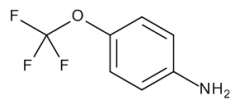 4-(Trifluoromethoxy)aniline  CAS:461-82-5
