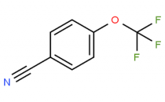 4-(Trifluoromethoxy)benzonitrile  CAS:332-25-2