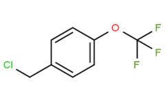 4-(Trifluoromethoxy)benzyl chloride  CAS:65796-00-1